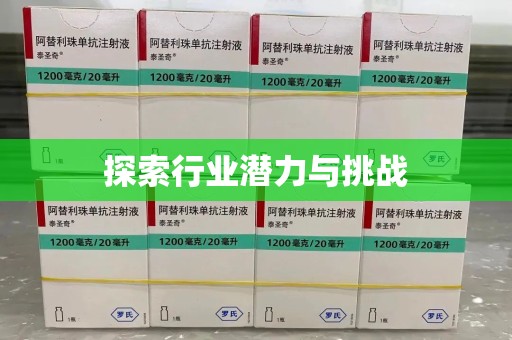 唐山探索行业潜力与挑战